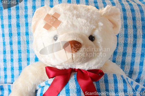 Image of sick teddy