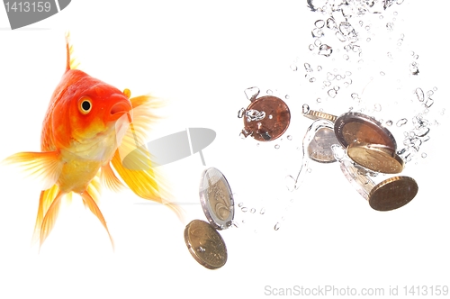 Image of goldfish and money
