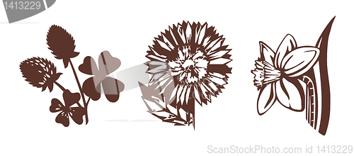 Image of illustrations of flowers