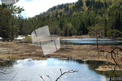 Image of Norwegian forest lake in early spring