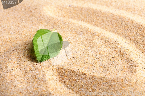 Image of zen stone with leaf
