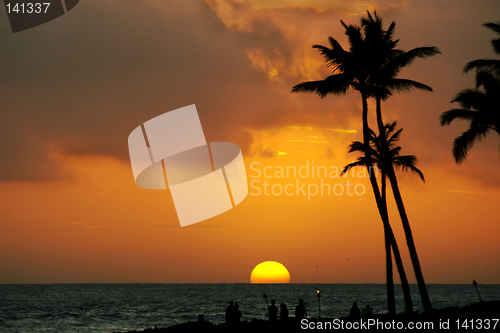 Image of Tropical sunset