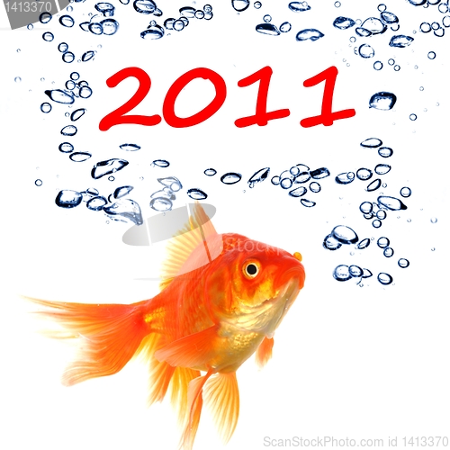 Image of new year 2011