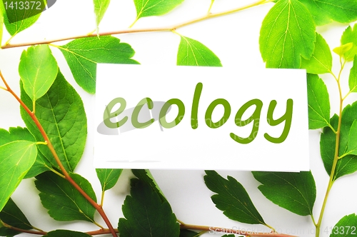 Image of ecology