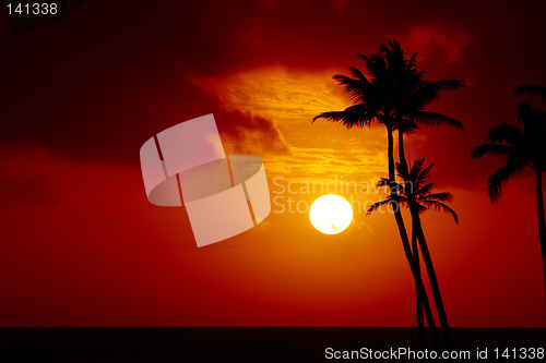 Image of Tropical sunset.