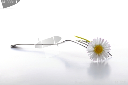 Image of flower food