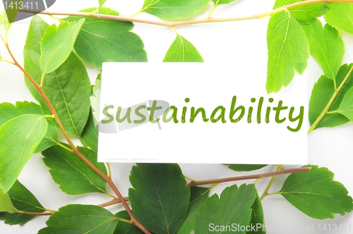 Image of sustainability