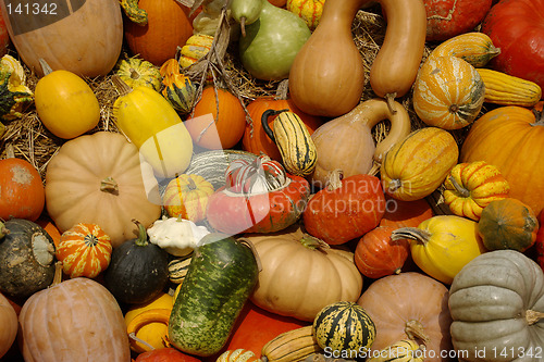 Image of Pumpkins