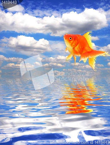 Image of goldfish