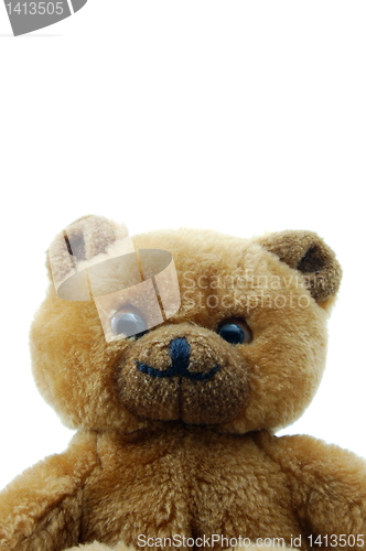 Image of teddy bear isolated on white background