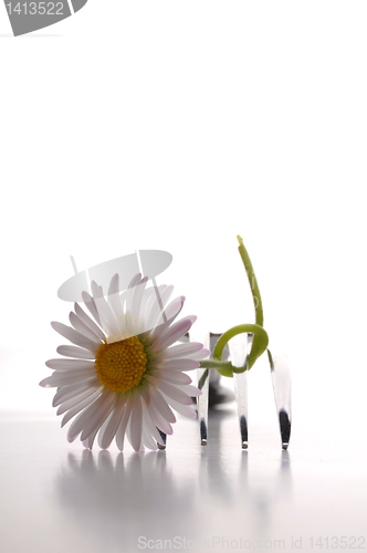 Image of flower and fork