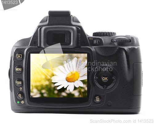 Image of holiday flower on camera