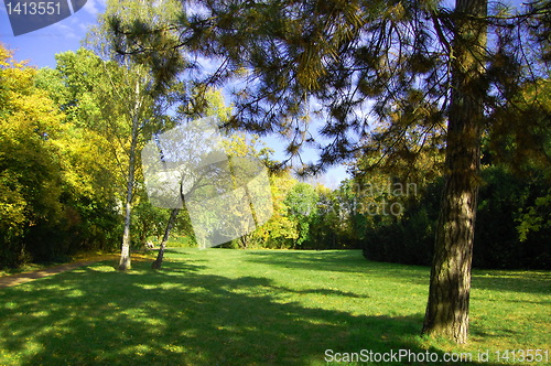 Image of summer in the park with green trees and grass