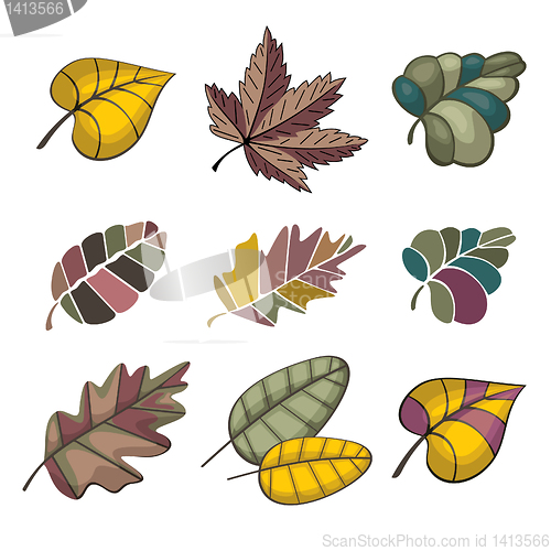 Image of set of autumn leaves