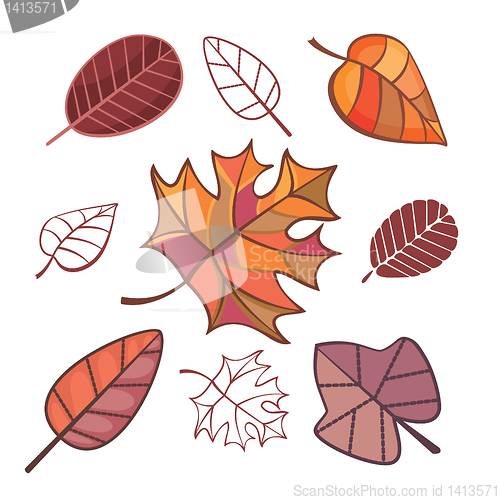 Image of set of autumn leaves