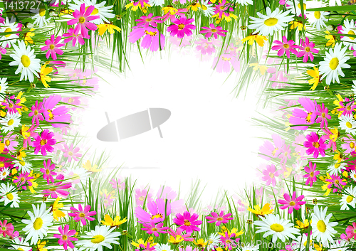 Image of flowers and grass