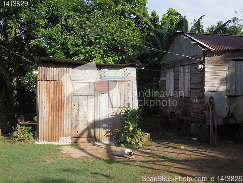 Image of dog sleeping zinc sheet metal house Corn Island Nicaragua