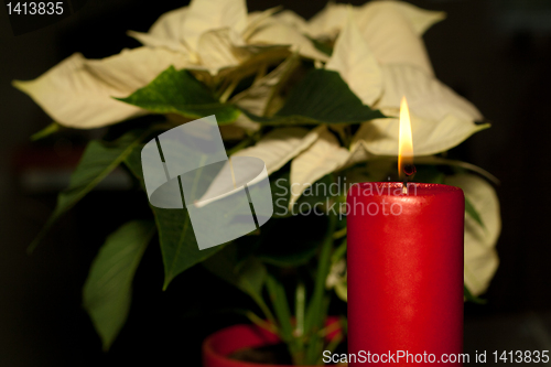 Image of Christmas candle