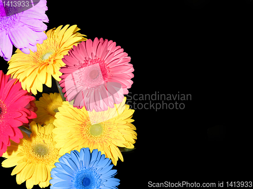 Image of flowers as background