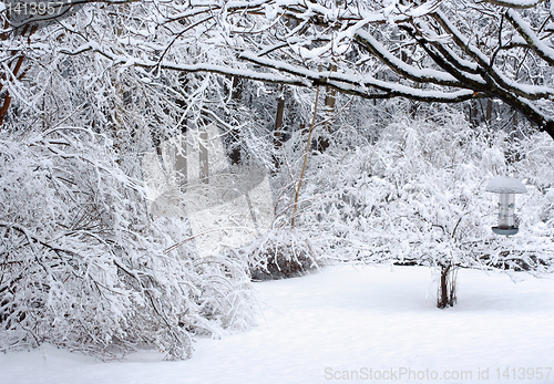 Image of Snow Scene