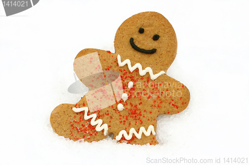 Image of Gingerbread Cookie in Snow with copy space