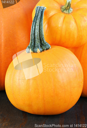 Image of Pumpkins Stacked