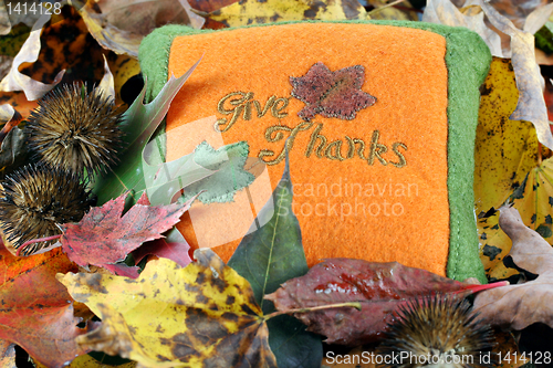 Image of Give Thanks pillow in fall leaves