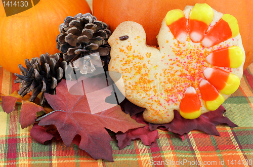 Image of Turkey cookie with pumpkins, leaves and pine cones.