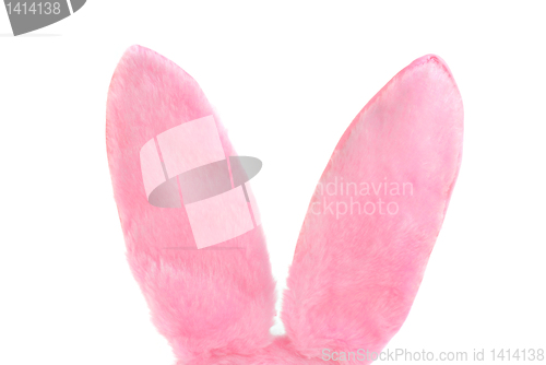 Image of Pink Furry Bunny Ears on white with copy space