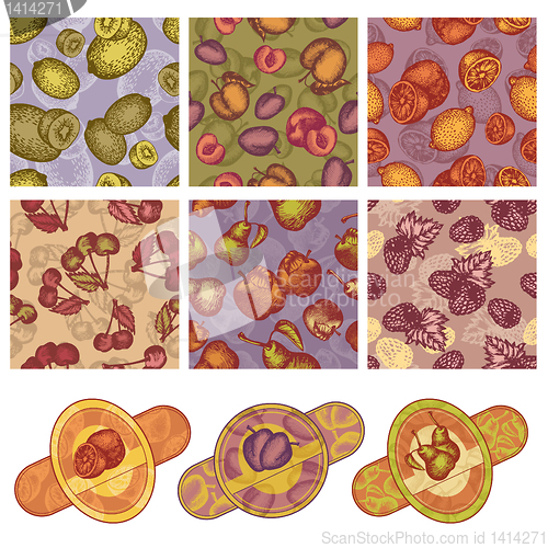 Image of collection of fruit design elements