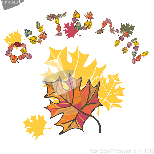 Image of lovely autumn composition