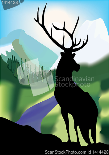 Image of Landscape.