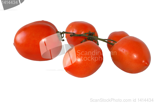 Image of Tomatoes.