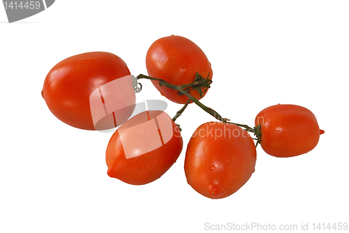 Image of Tomatoes.