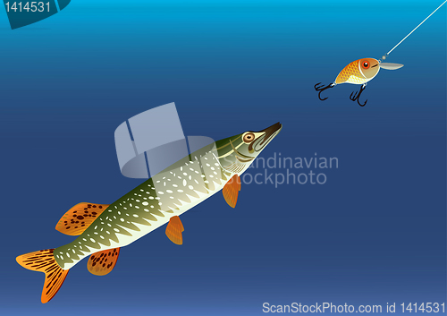 Image of Fishing for bait. 