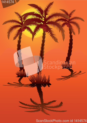 Image of Palm tree against the orange sky with the sun.
