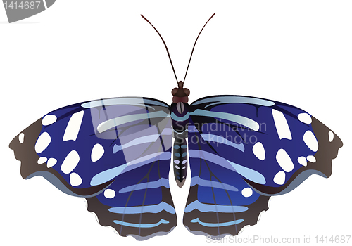 Image of Abstract exotic butterfly.