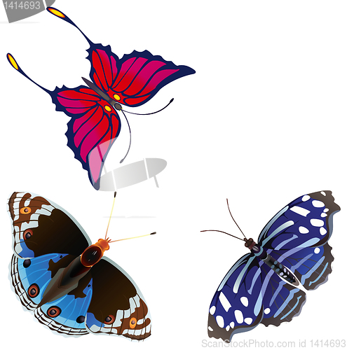Image of Abstract exotic butterfly.