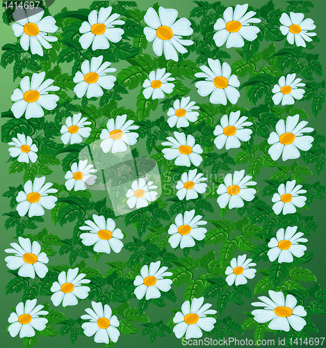 Image of Abstract flower background.