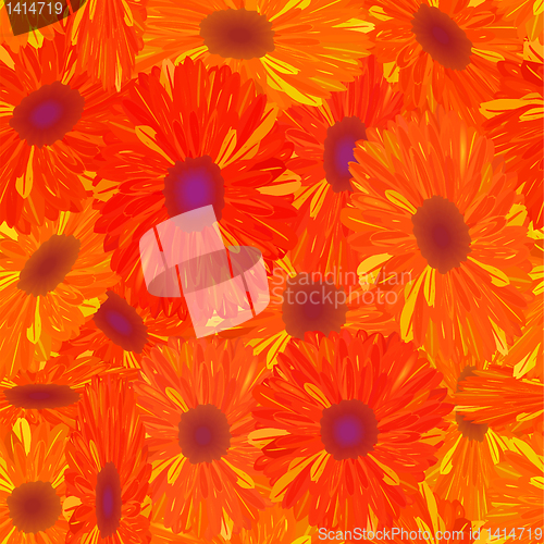 Image of Seamless pattern yellow-orange flower.