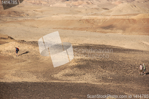 Image of Desert landscapes
