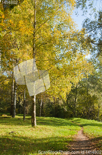 Image of Autumn landscape