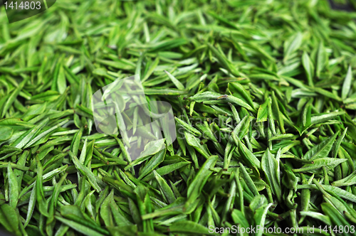 Image of Fresh green tea