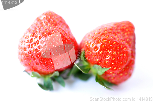 Image of Strawberry
