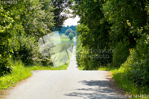 Image of Summer scenery of a village road