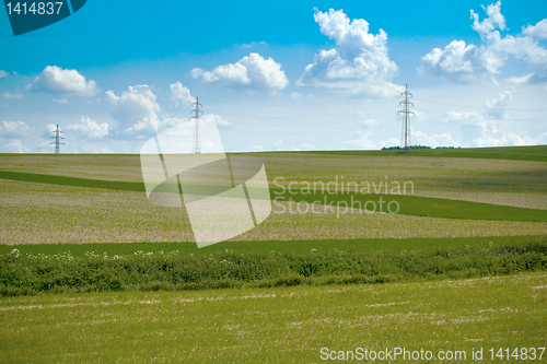 Image of Summer landscape with field and meadow