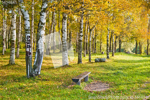 Image of Autumn landscape