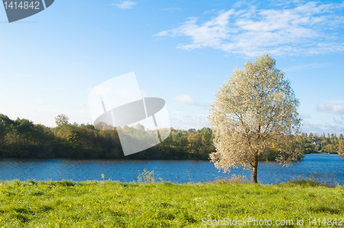 Image of Autumn landscape at wood lake