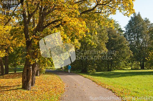 Image of Autumn landscape