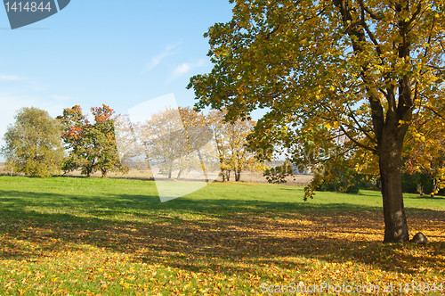 Image of Autumn landscape